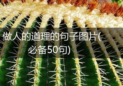 做人的道理的句子图片(必备50句)