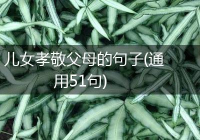 儿女孝敬父母的句子(通用51句)