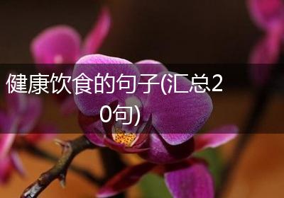 健康饮食的句子(汇总20句)