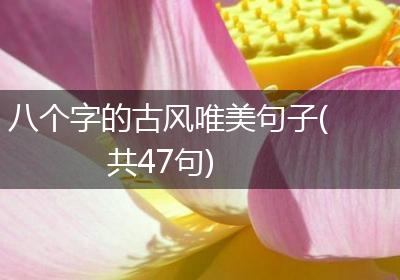 八个字的古风唯美句子(共47句)