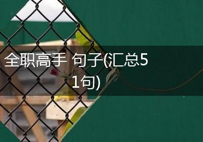 全职高手 句子(汇总51句)