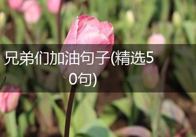 兄弟们加油句子(精选50句)