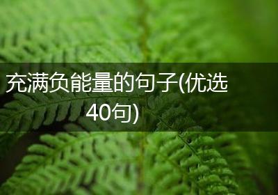 充满负能量的句子(优选40句)
