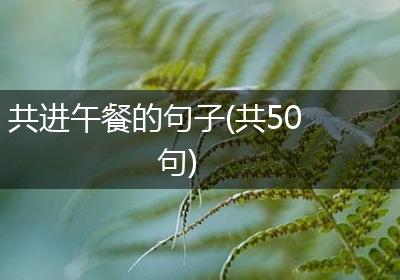 共进午餐的句子(共50句)