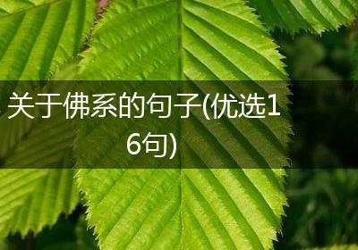 关于佛系的句子(优选16句)
