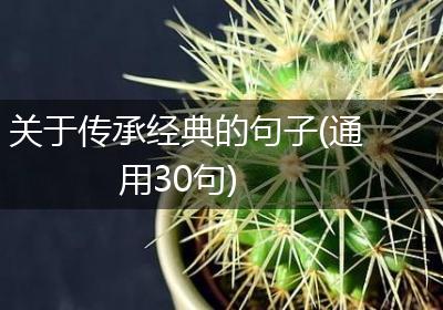 关于传承经典的句子(通用30句)