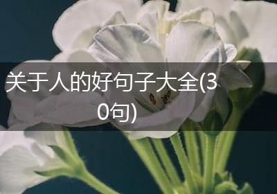 关于人的好句子大全(30句)