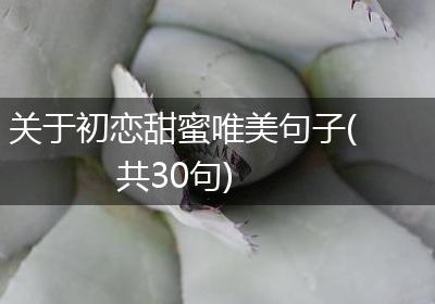 关于初恋甜蜜唯美句子(共30句)