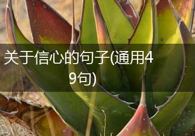 关于信心的句子(通用49句)