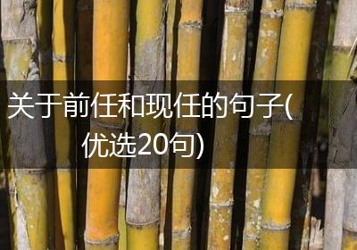 关于前任和现任的句子(优选20句)