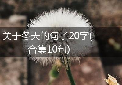 关于冬天的句子20字(合集10句)