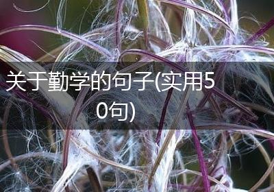 关于勤学的句子(实用50句)