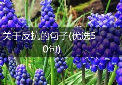关于反抗的句子(优选50句)