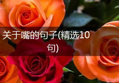 关于嘴的句子(精选10句)