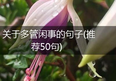 关于多管闲事的句子(推荐50句)