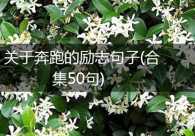 关于奔跑的励志句子(合集50句)
