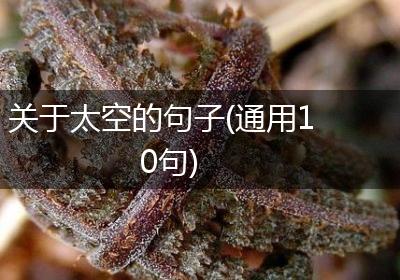关于太空的句子(通用10句)