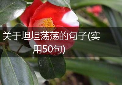 关于坦坦荡荡的句子(实用50句)