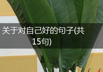 关于对自己好的句子(共15句)