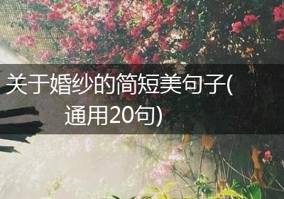 关于婚纱的简短美句子(通用20句)