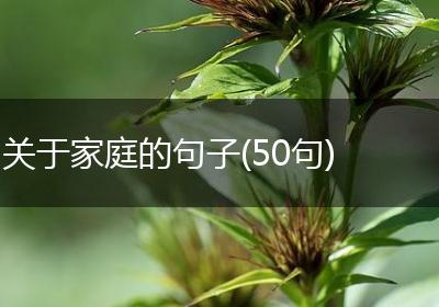关于家庭的句子(50句)