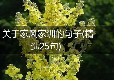 关于家风家训的句子(精选25句)