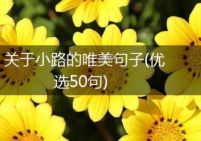 关于小路的唯美句子(优选50句)