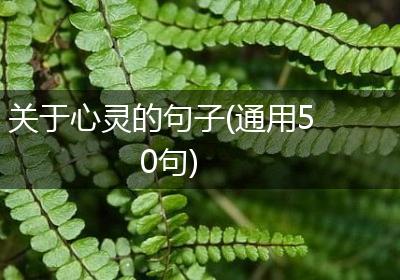 关于心灵的句子(通用50句)