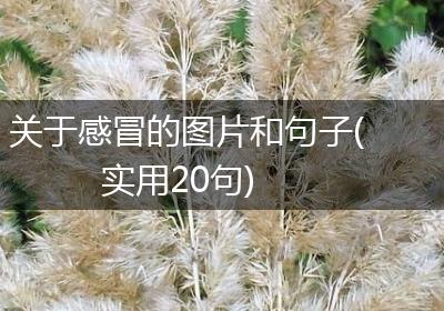 关于感冒的图片和句子(实用20句)