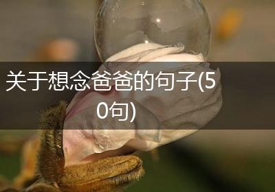 关于想念爸爸的句子(50句)