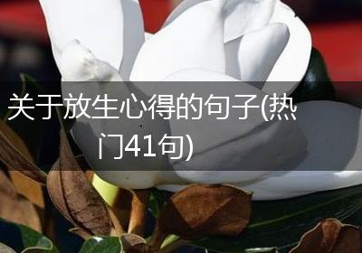 关于放生心得的句子(热门41句)