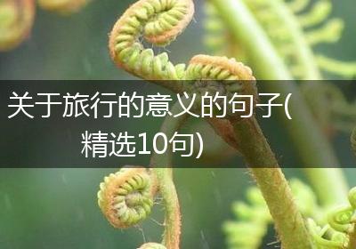 关于旅行的意义的句子(精选10句)