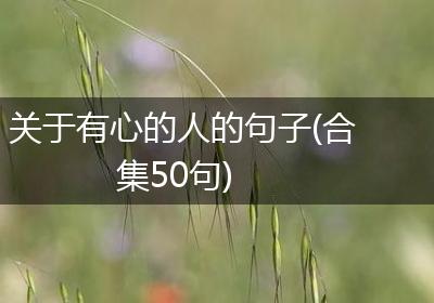 关于有心的人的句子(合集50句)