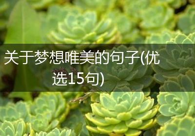 关于梦想唯美的句子(优选15句)
