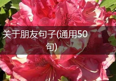 关于朋友句子(通用50句)