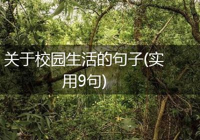 关于校园生活的句子(实用9句)