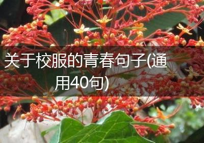 关于校服的青春句子(通用40句)