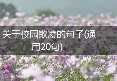 关于校园欺凌的句子(通用20句)