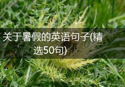 关于暑假的英语句子(精选50句)