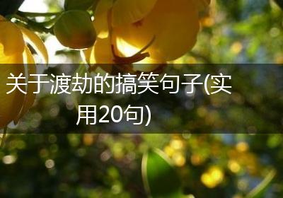 关于渡劫的搞笑句子(实用20句)