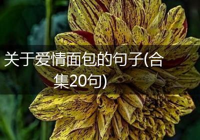 关于爱情面包的句子(合集20句)