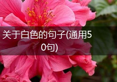 关于白色的句子(通用50句)