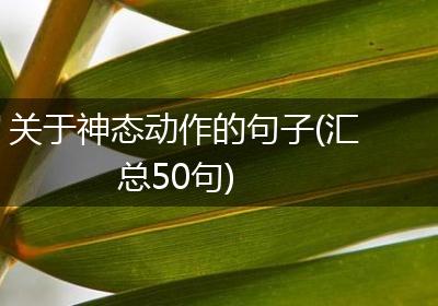关于神态动作的句子(汇总50句)