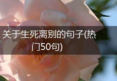 关于生死离别的句子(热门50句)