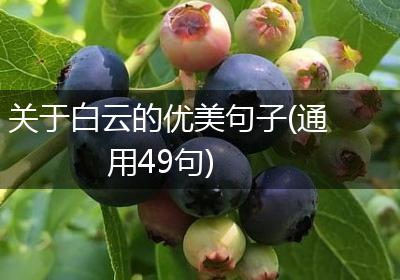 关于白云的优美句子(通用49句)