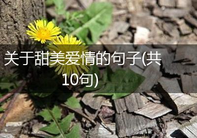 关于甜美爱情的句子(共10句)
