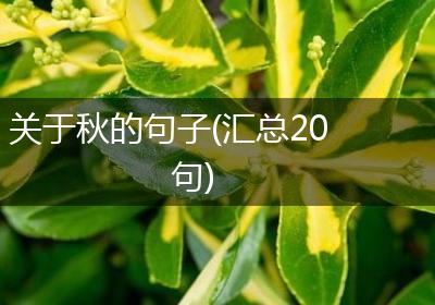 关于秋的句子(汇总20句)