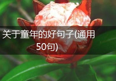 关于童年的好句子(通用50句)