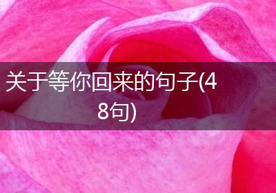 关于等你回来的句子(48句)