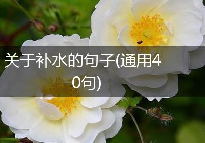 关于补水的句子(通用40句)
